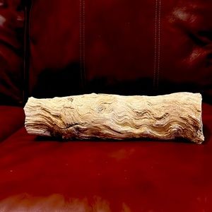 Petrified tree branch-special type of fossilized wood